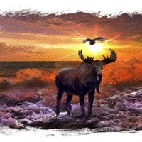 Море